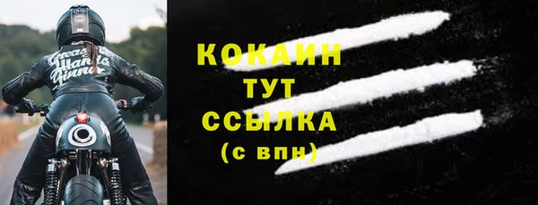 СК Алзамай