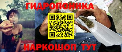 прущие крисы Изобильный