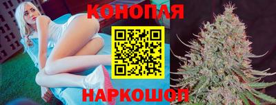 прущие крисы Изобильный