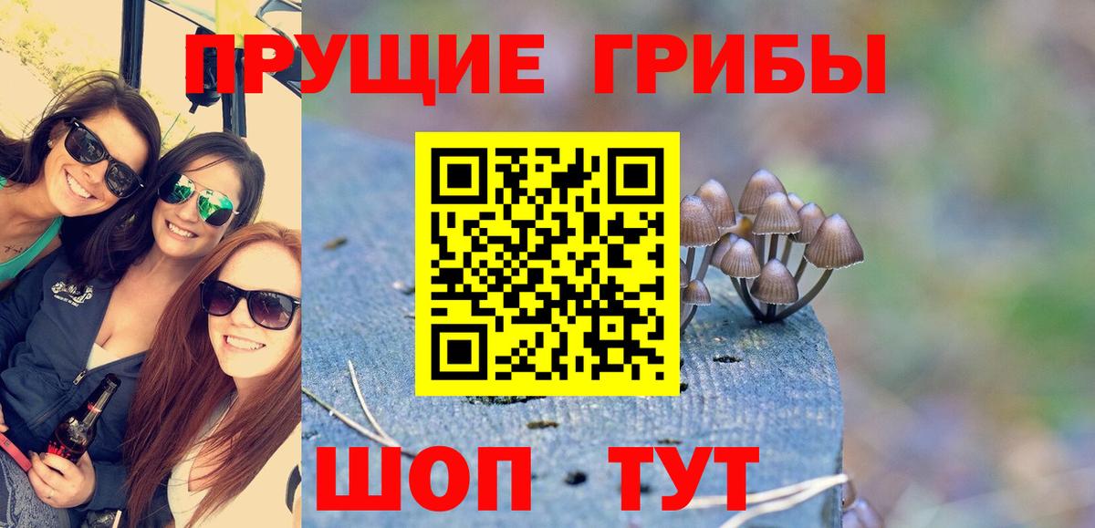 Галлюциногенные грибы Magic Shrooms  Вход с VPN  Галлюциногенные грибы GOLDEN TEACHER  Родники 